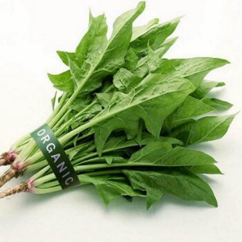 蔬菜|这几种蔬菜的补钙功力堪比牛奶