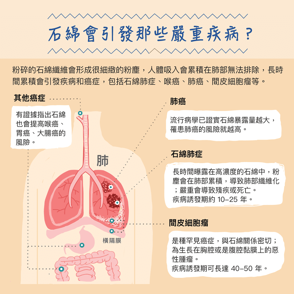 而且造价较低,但却是被世界卫生组织定为一级致癌物,当石棉随着人们的