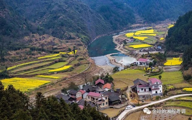 沅陵荔溪油菜花开正当时,农夫山泉有点儿田|摄影家|荔溪乡|沅陵县