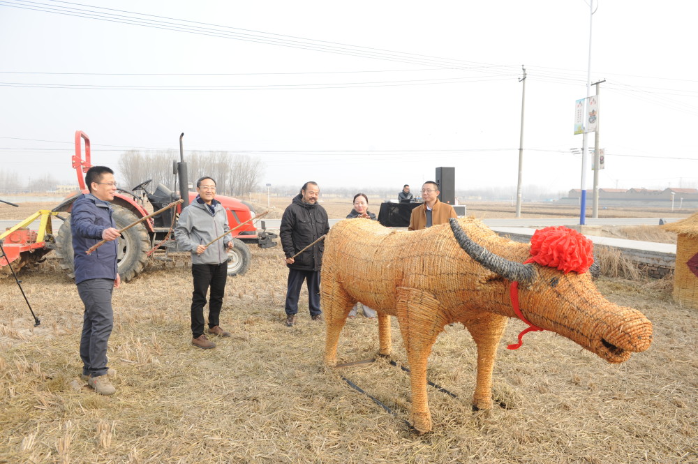 山东济南席家庄村举办鞭春牛民俗仪式. 苏锐摄