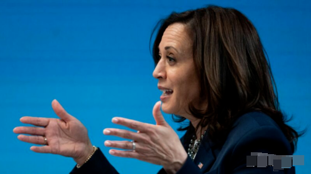美国副总统贺锦丽(kamala harris)上任后罕见行总统之职,致电多国元首