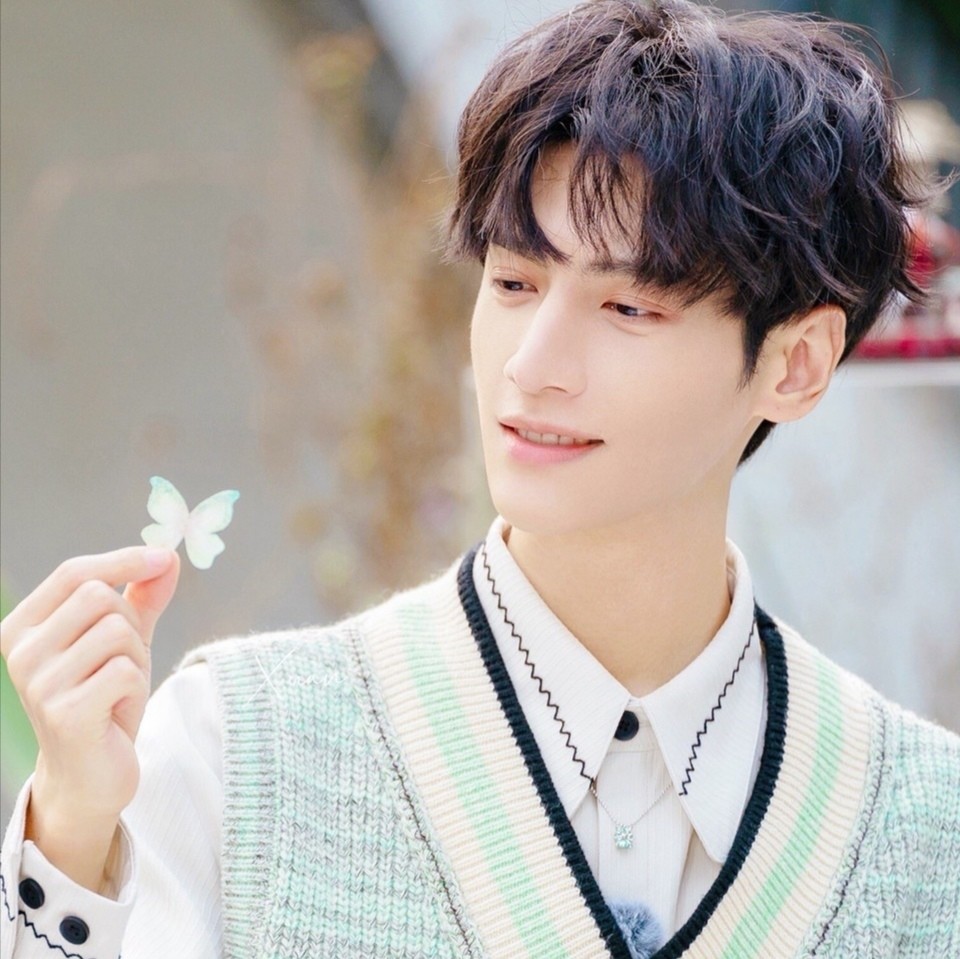 第211期:罗云熙高清头像 头像分享_腾讯新闻