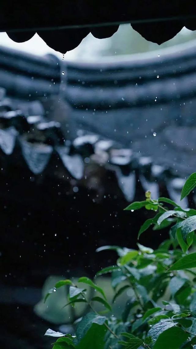 雨水|春风化雨,播种梦想的季节来了