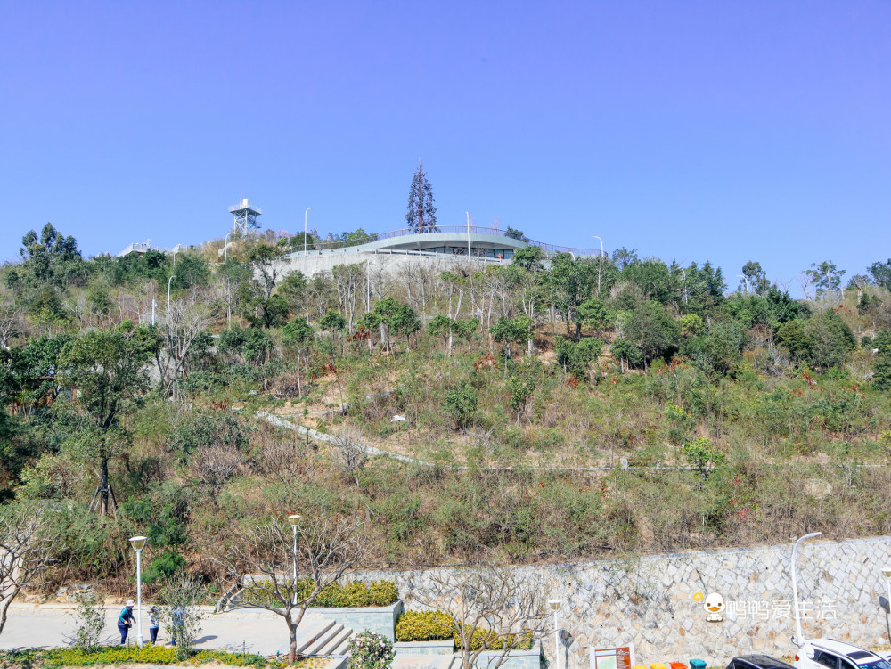 廈門島外高山上藏免費公園,有全市最高高架橋,可看