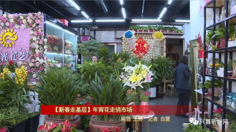 新春走基层 年宵花走俏市场 视频 腾讯新闻