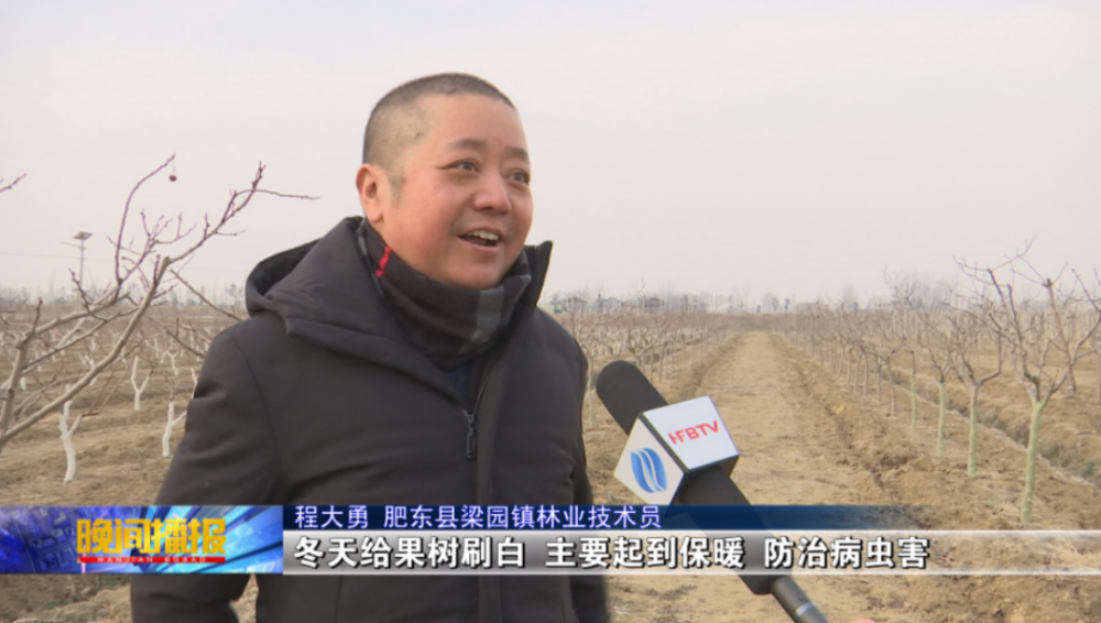 村林长的帮助下印象梁园田园旅游观光综合体位于肥东县梁园镇境内的