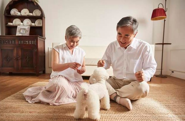 首批丁克族陆续步入老年,生活怎样了?"两有一无"是常态