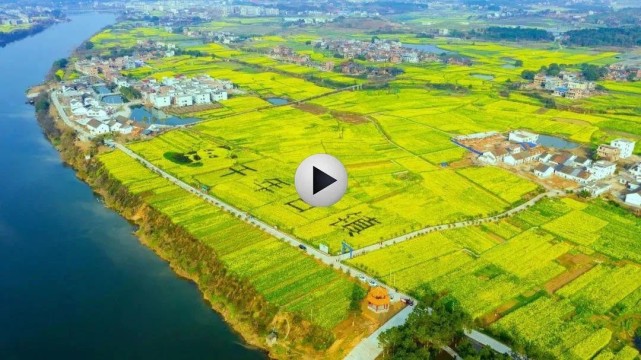 耒阳市首届(新市镇)云上油菜花节太美了!