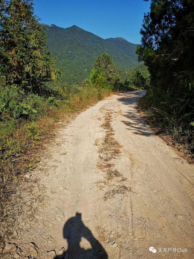 沿著902鄉道前行沒多遠有個岔路口,左拐上了一條無名路.