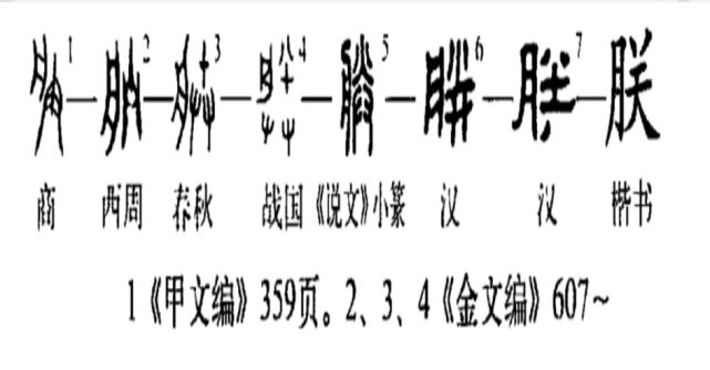 中华汉字九千余 嬴政偏选 朕 自称 而原本的意思反被遗忘了 腾讯新闻