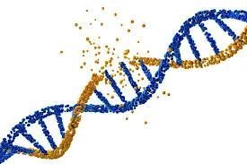 科学家|人类依然在进化，科学家发现人类正多了块骨头，但这却不是好事情