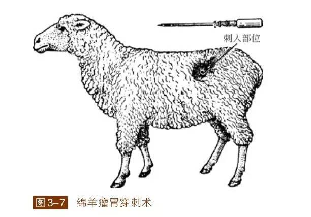 (3)如上述方法都不见效,可用套管针放气.