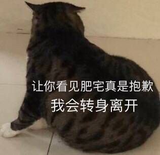 萌宠表情包我会转身离开