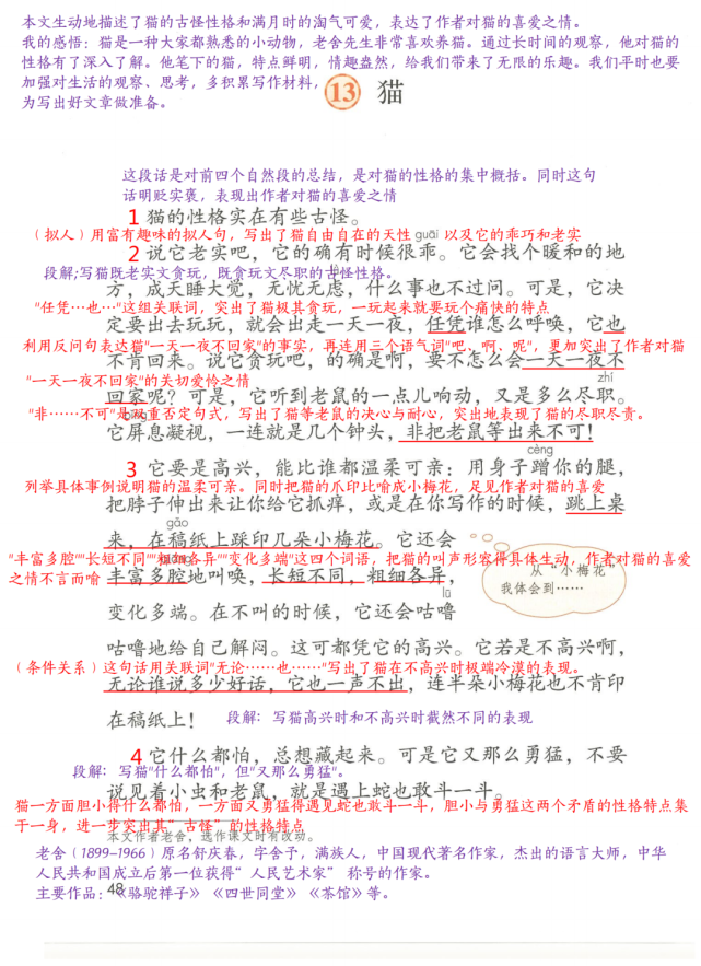 四年级语文下册2021版第十三课猫