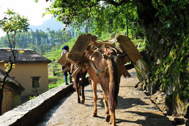 云南少有人知的2个古村,住蘑菇房驮运靠马帮,宛如生活在古代