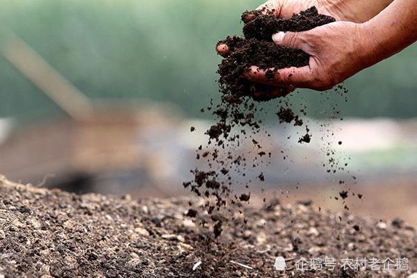 有机肥|畜禽粪便变废为宝 生物菌肥助农增收