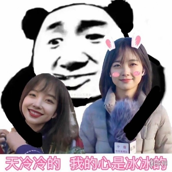 "冰冰的表情包"