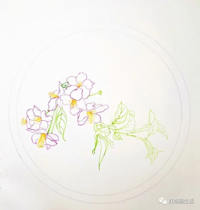 柔軟線條彩色線描古風花卉之三