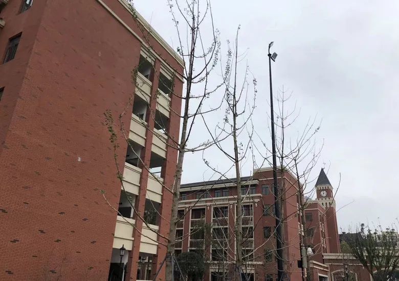 重庆八中各大校区盘点看看有没有孩子心仪的学校