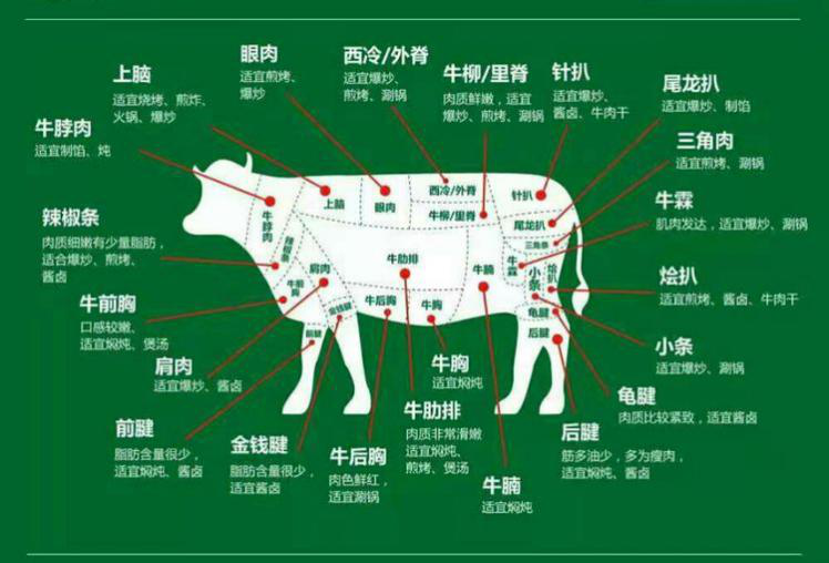 牛肉|干饭人必看！关于牛肉，那些你不知道的事……