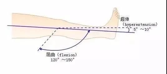 正常人的膝關節屈伸活動範圍是屈曲120~150度,伸直-10~-5度.