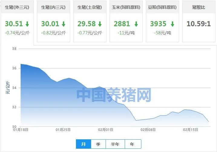 生猪价格|2021年02月18日全国生猪价格行情表