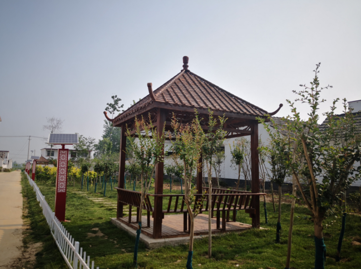 美丽乡愁|乡村绿化美化连载:安徽61三和村_腾讯新闻