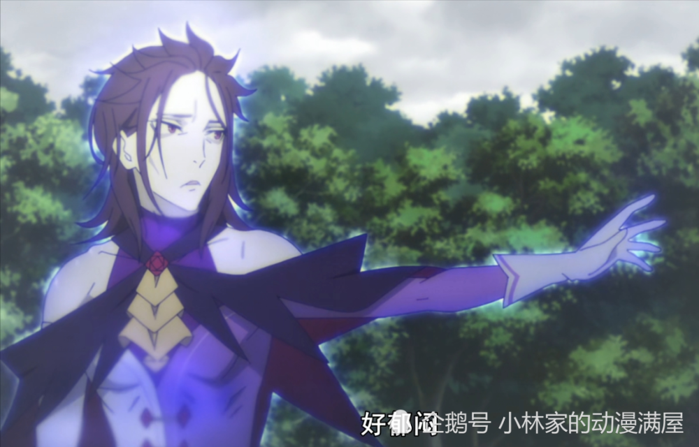 圣域建立的初衷是为了躲避忧郁魔人的追击,给艾姬多娜建立一个安稳的