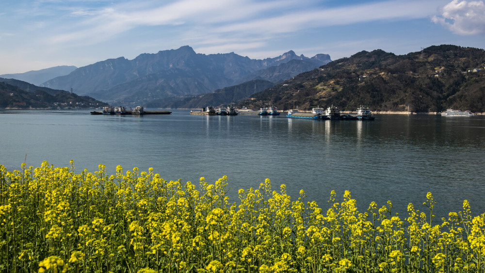 春天来了长江三峡繁花似锦美不胜收