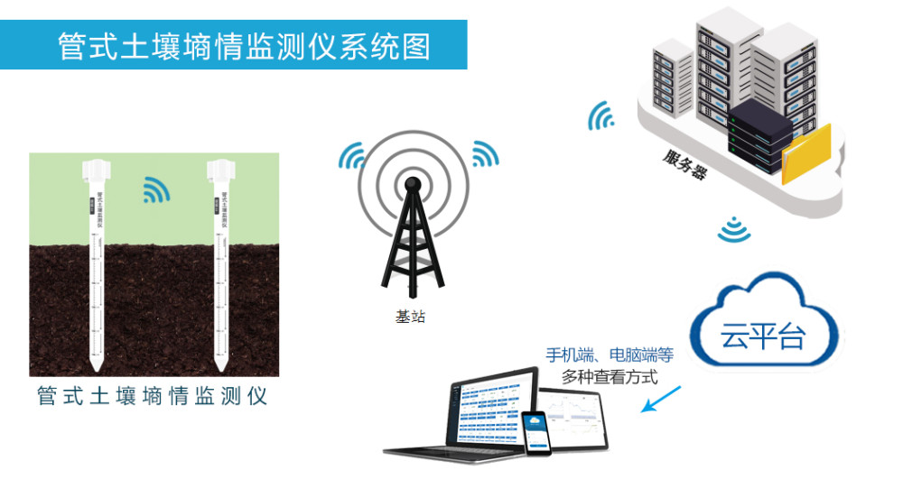 初春农事指南:雨水与管式土壤墒情监测仪_腾讯新闻