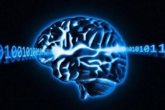 意识|不只人类有意识，石头也有意识？巴特斯克效应实验说明一切