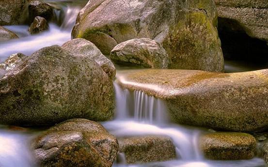 意识|不只人类有意识，石头也有意识？巴特斯克效应实验说明一切