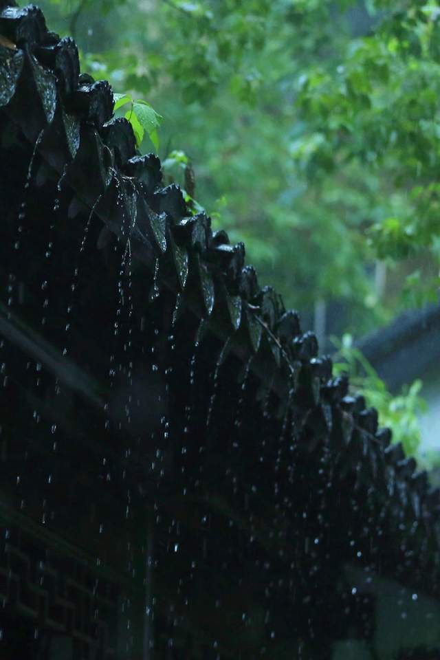 今日雨水,雨落欢欣_腾讯新闻
