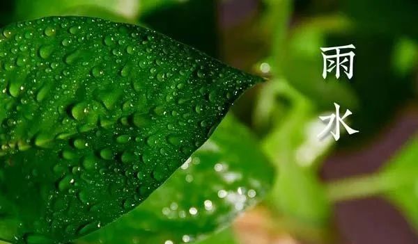 雨水化甘露云风晓梦回