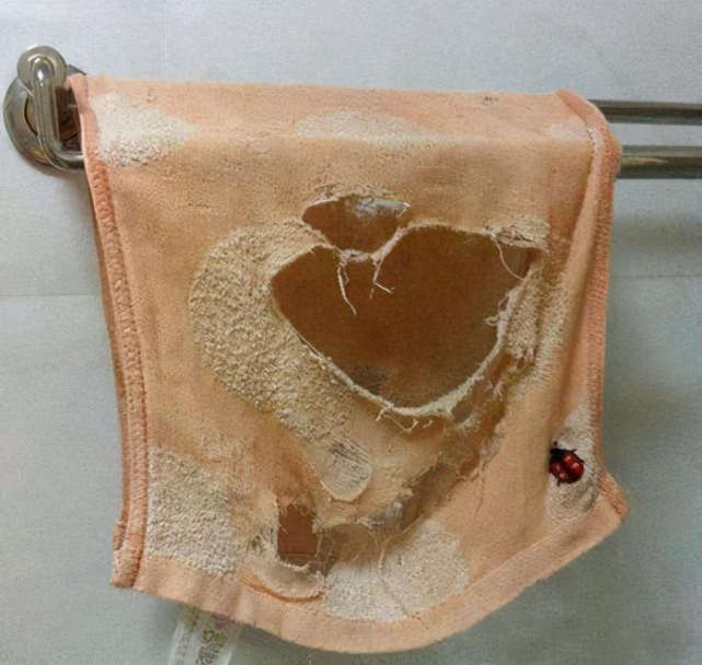 这个毛巾是结婚时买的都成这样了还不换难不成还要它跟着你们一起直到