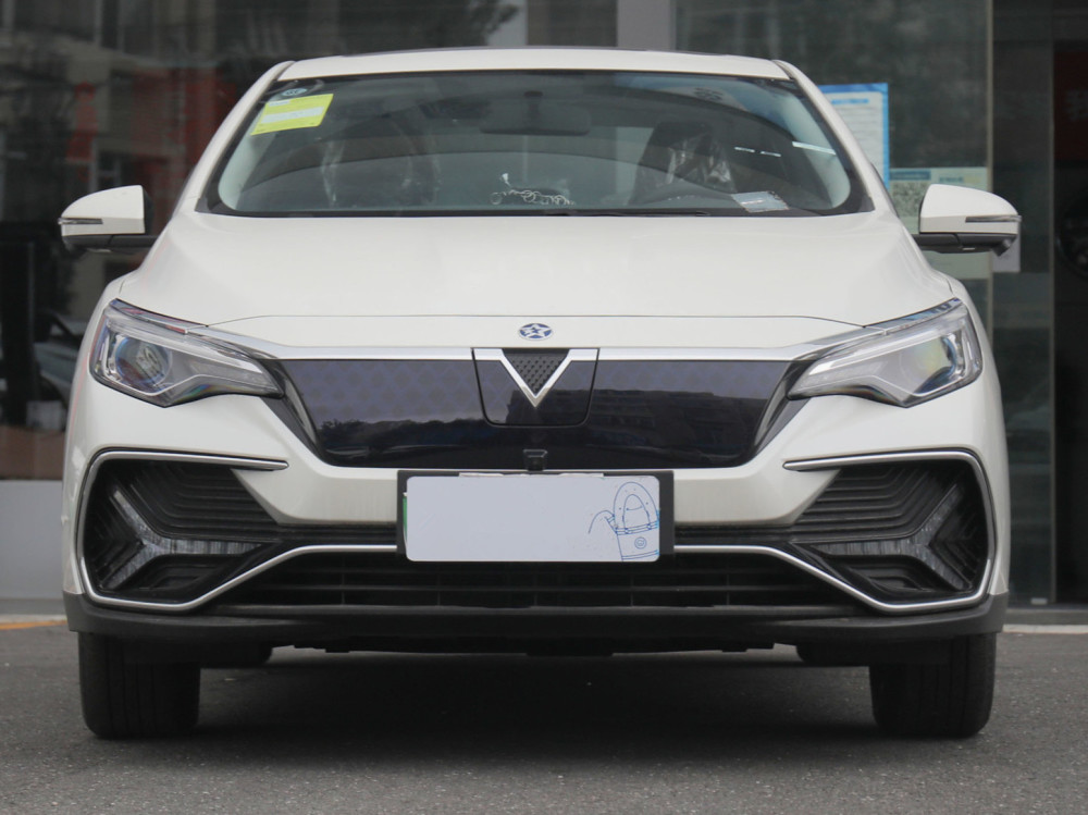 喜提启辰d60ev落地1622万值不值