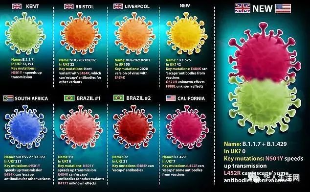 英美变异新冠病毒首现合体更易传播且有抗药性