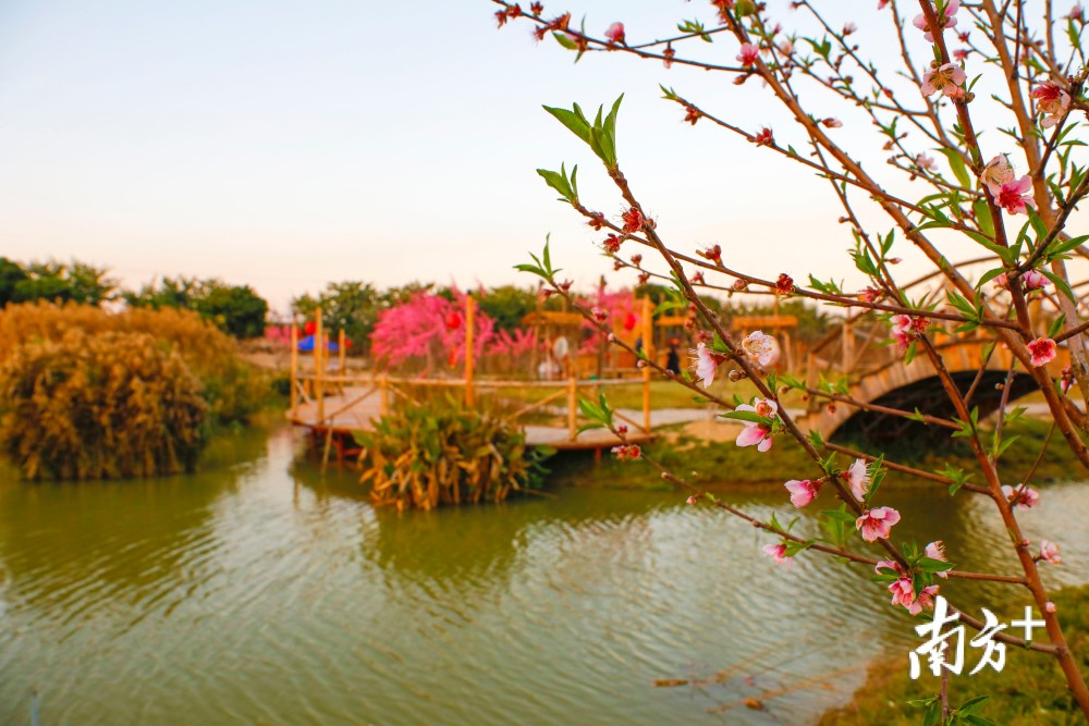 多图普宁南溪灼灼桃花源悠悠水乡中