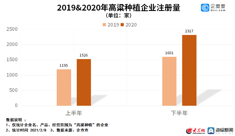 山东|中国高粱种植相关企业注册量达1.7万家 山东位列前三