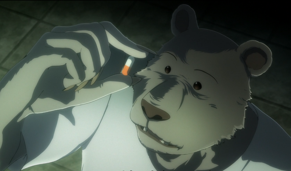 动物狂想曲食杀提姆的凶手终于被找到了原来不是老虎而是棕熊