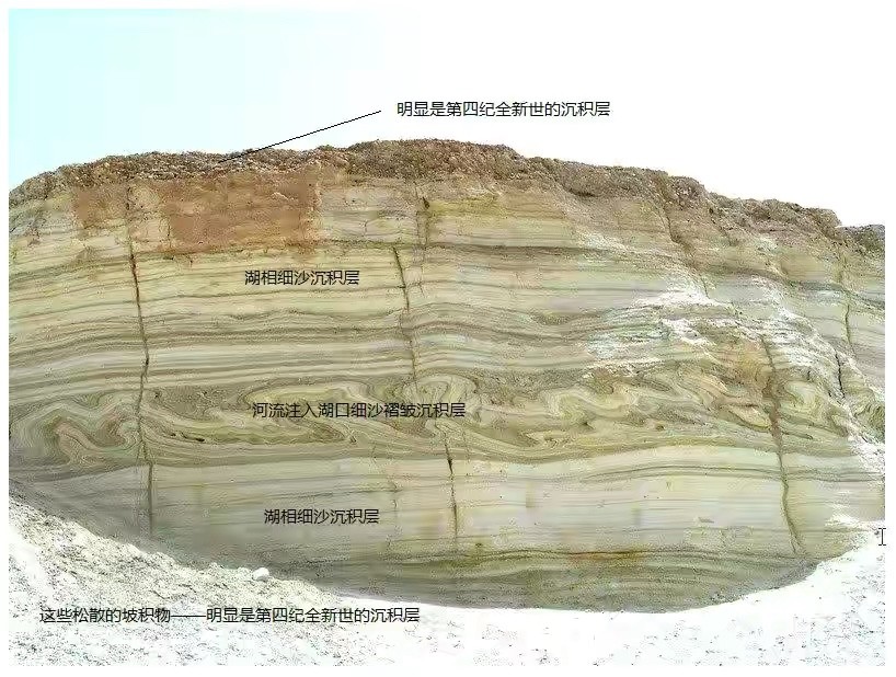 恐龙|2.3亿年前，一场暴雨下了200万年，将恐龙扶上了霸主的宝座