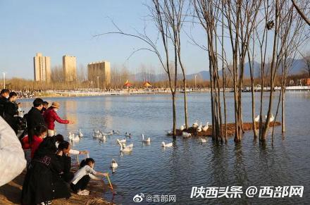 一片人工沙滩火了一个公园西安长安樊川公园春节假期天天爆满