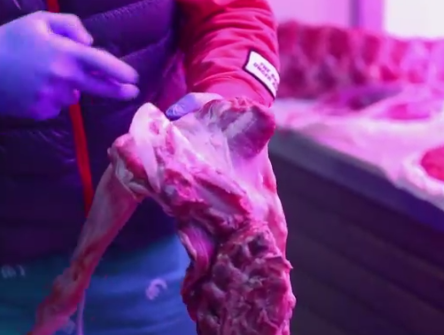 关键在油脂既要把美味留住,又要把油脂撇去徐铭恩预制羊肉的秘诀就一