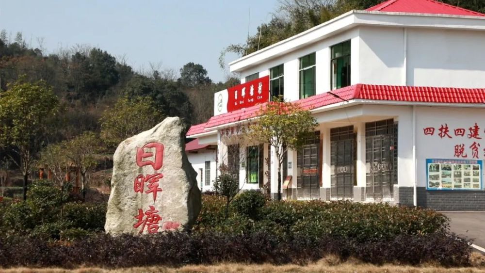 咱们乡亲了不起大忠桥镇日晖塘村勤劳敢干摘穷帽双手敲开幸福门