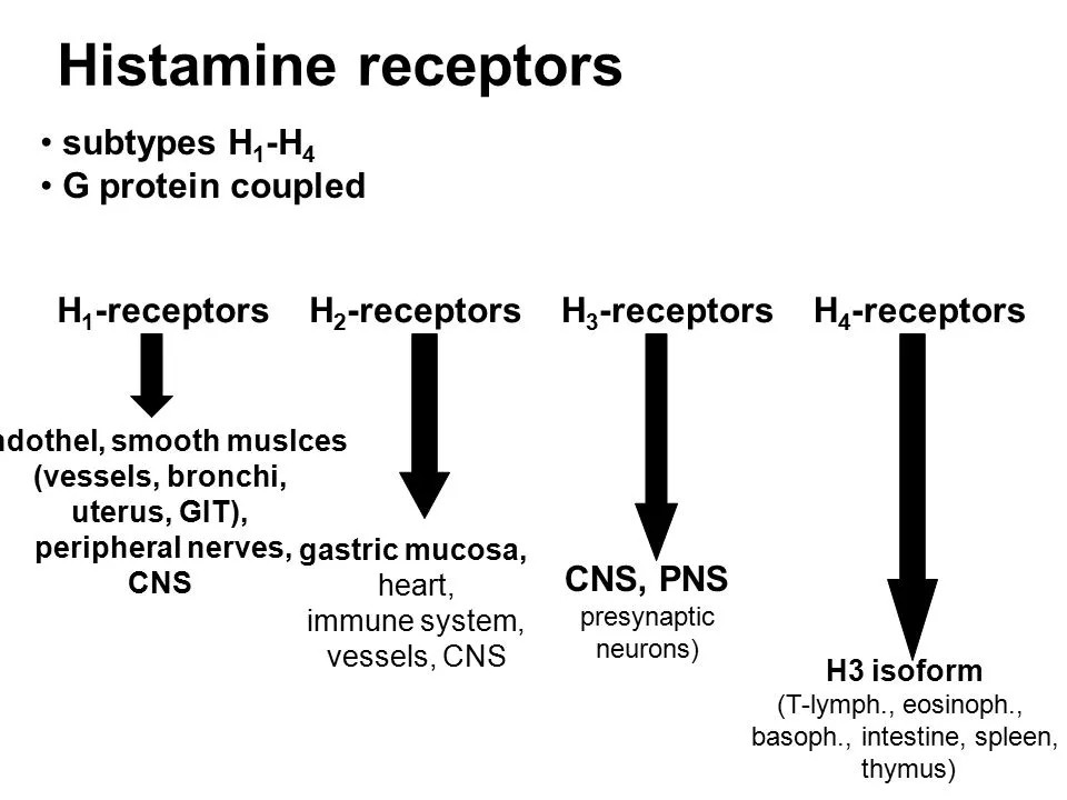 过敏|过年吃多了肉，过敏了，为什么呢？