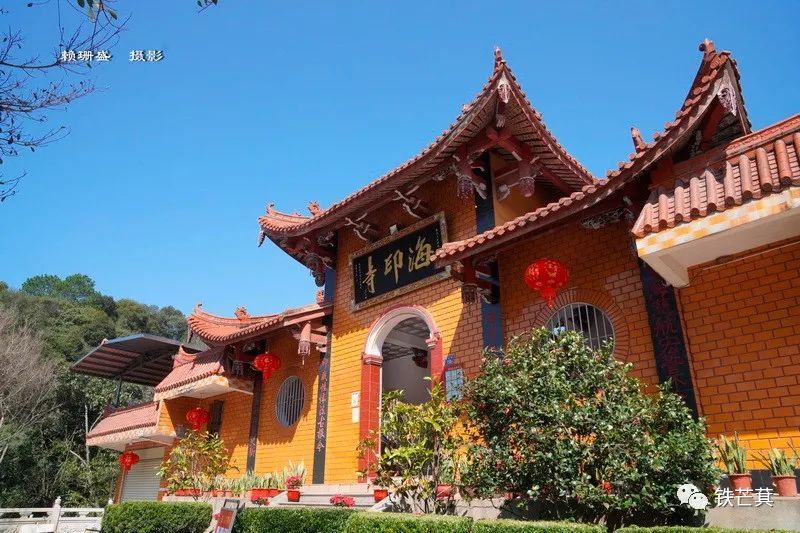 春日再赴海印寺赏花