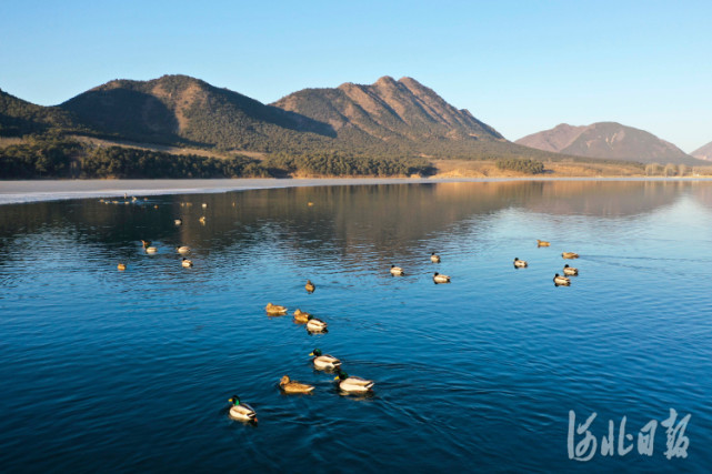 河北遵化春到龙门湖