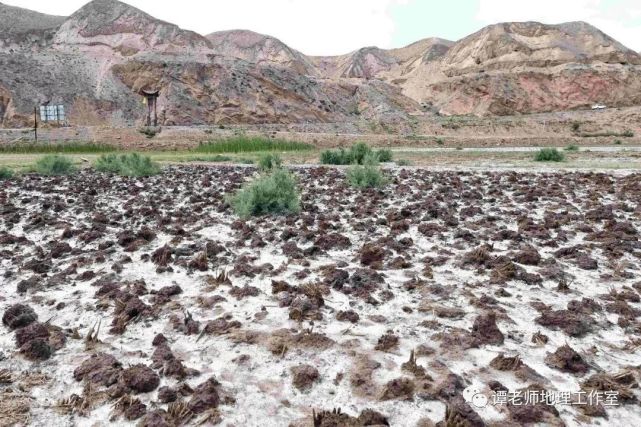 【重磅整理】关于盐碱化的所有考点本文给你弄全了_腾讯新闻