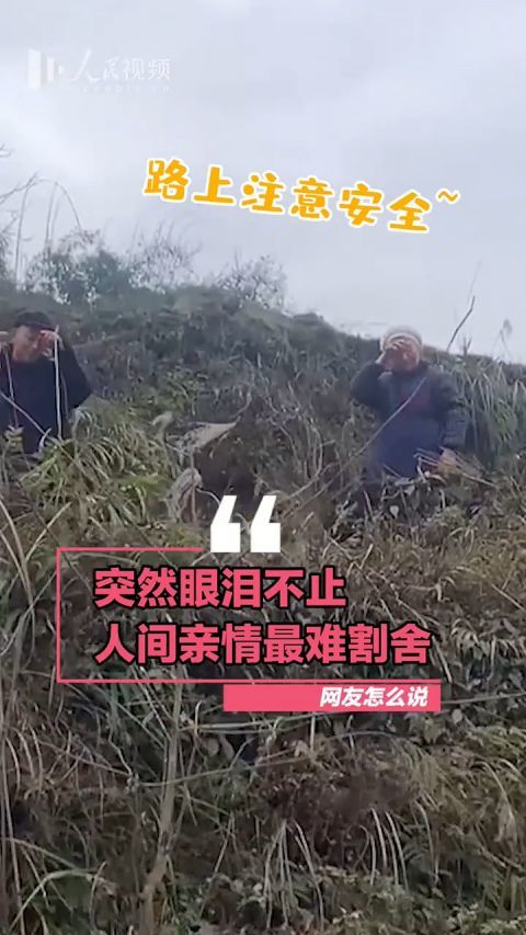 浓浓的爱爷爷奶奶含泪挥手目送孙女离开