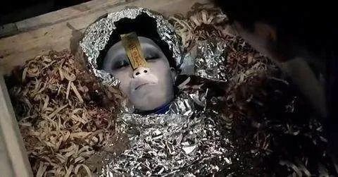 未解之谜中国四大神秘事件有一个就是安徽的巨蟒渡劫